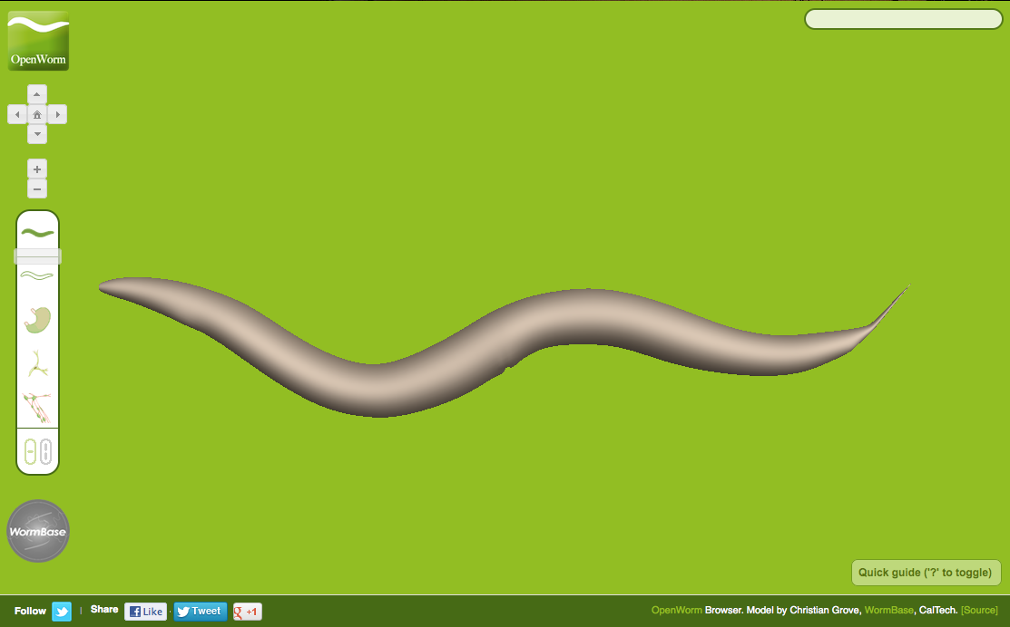 Open Worm WebGL Browser image #2